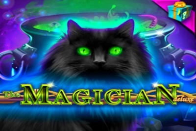 21989 the magician deluxe